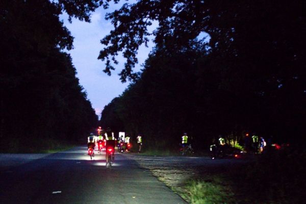 Photo courtesy of Ivo Miesen